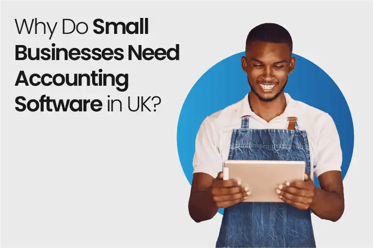 why do small business accounting software